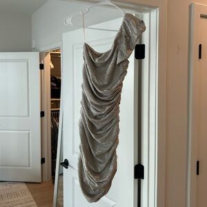 Express Silver Ruched Dress